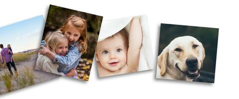 Photo Prints