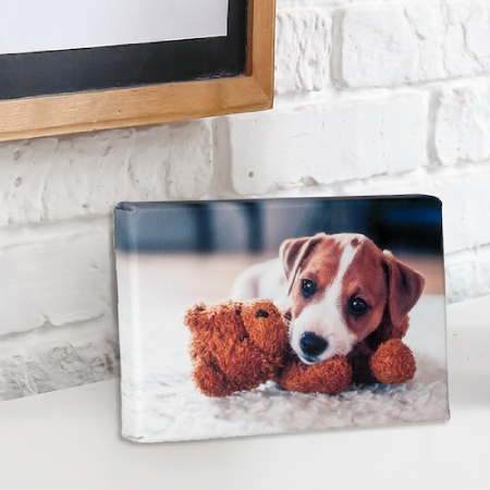 Add a personal touch to your space with mini canvas prints. Perfect for desks, countertops, shelves and more. 