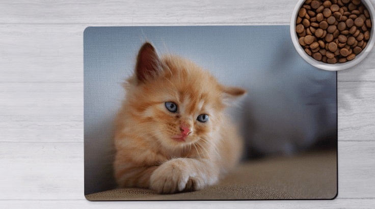 Our Custom Pet Mats are fun and functional! Place under their food bowls to keep your floors tidy. Choose from our range of designs, add a photo, and we'll deliver to your door.