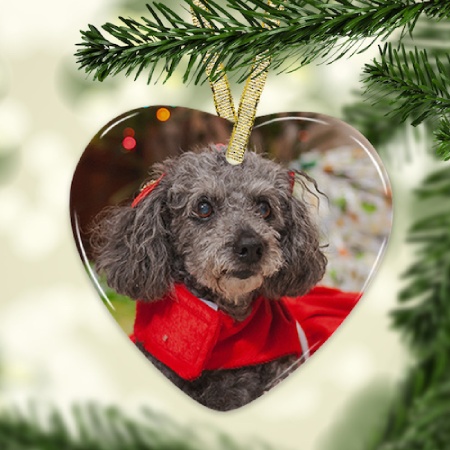 Simply choose from a range of shapes and add your photos. Order now for home delivery or same-day pickup.