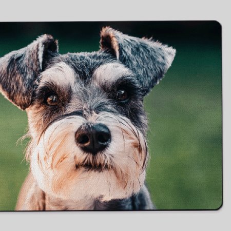 For messy pets, protect your floors or just add a personal touch to your home. Measures 12 x 17 (5400x3750 px) with a rubber base to avoid slipping and a neoprene top.